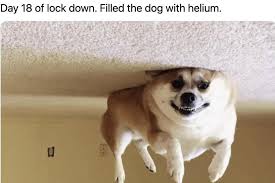 Example of a viral meme made online