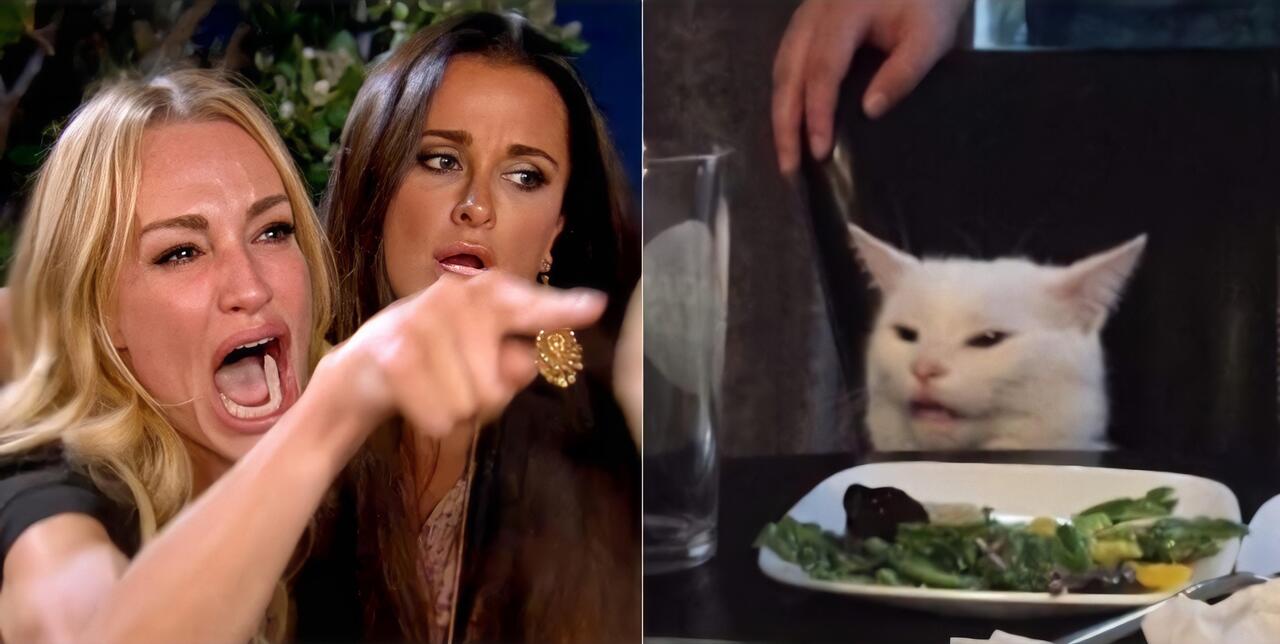 Woman Yelling at a Cat - Generated with Text to Meme