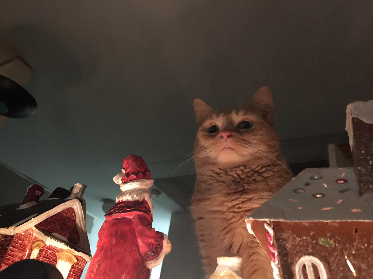 Cat and Christmas Village Meme Template