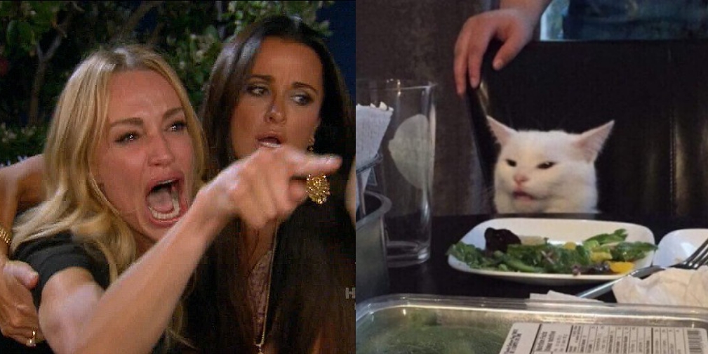 Woman Yelling at a Cat Meme Template