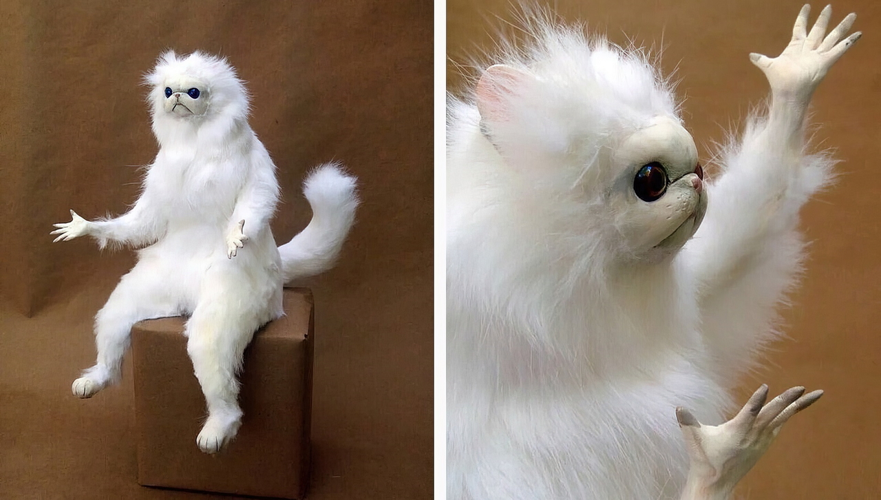 Woman Yelling at a Cat Parakeet Version meme template image