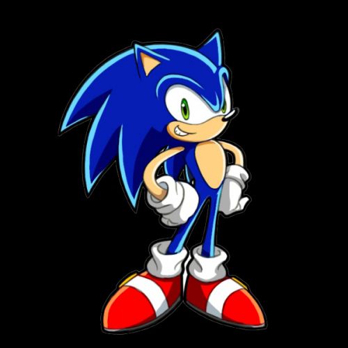 Smug Sonic Meme Template