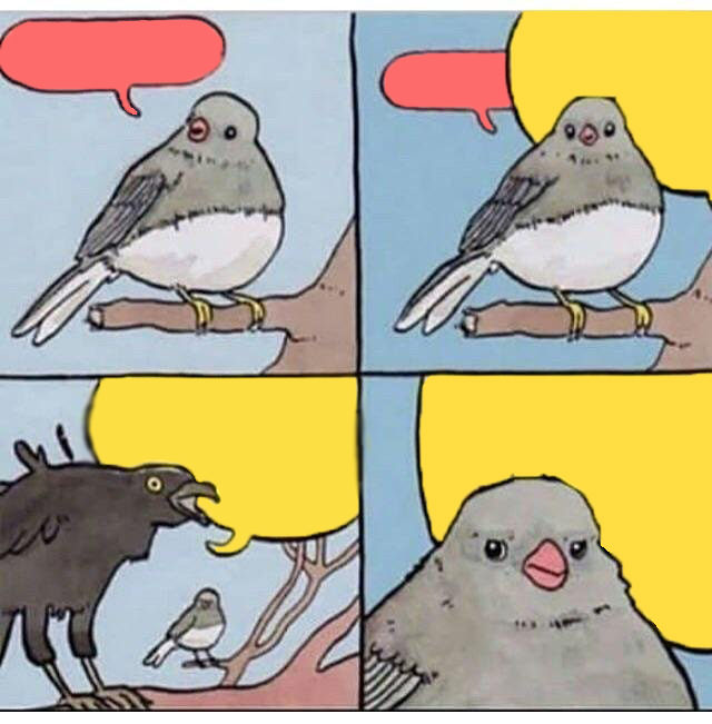 Bird Reaction to Crow Meme Template