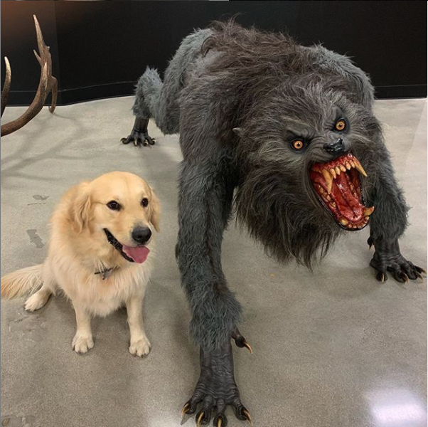 Good Boy vs. Bad Boy Meme Template