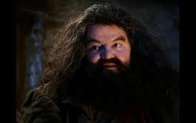 Hagrid meme template image