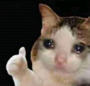 Sad Cat Thumbs Up Meme Template