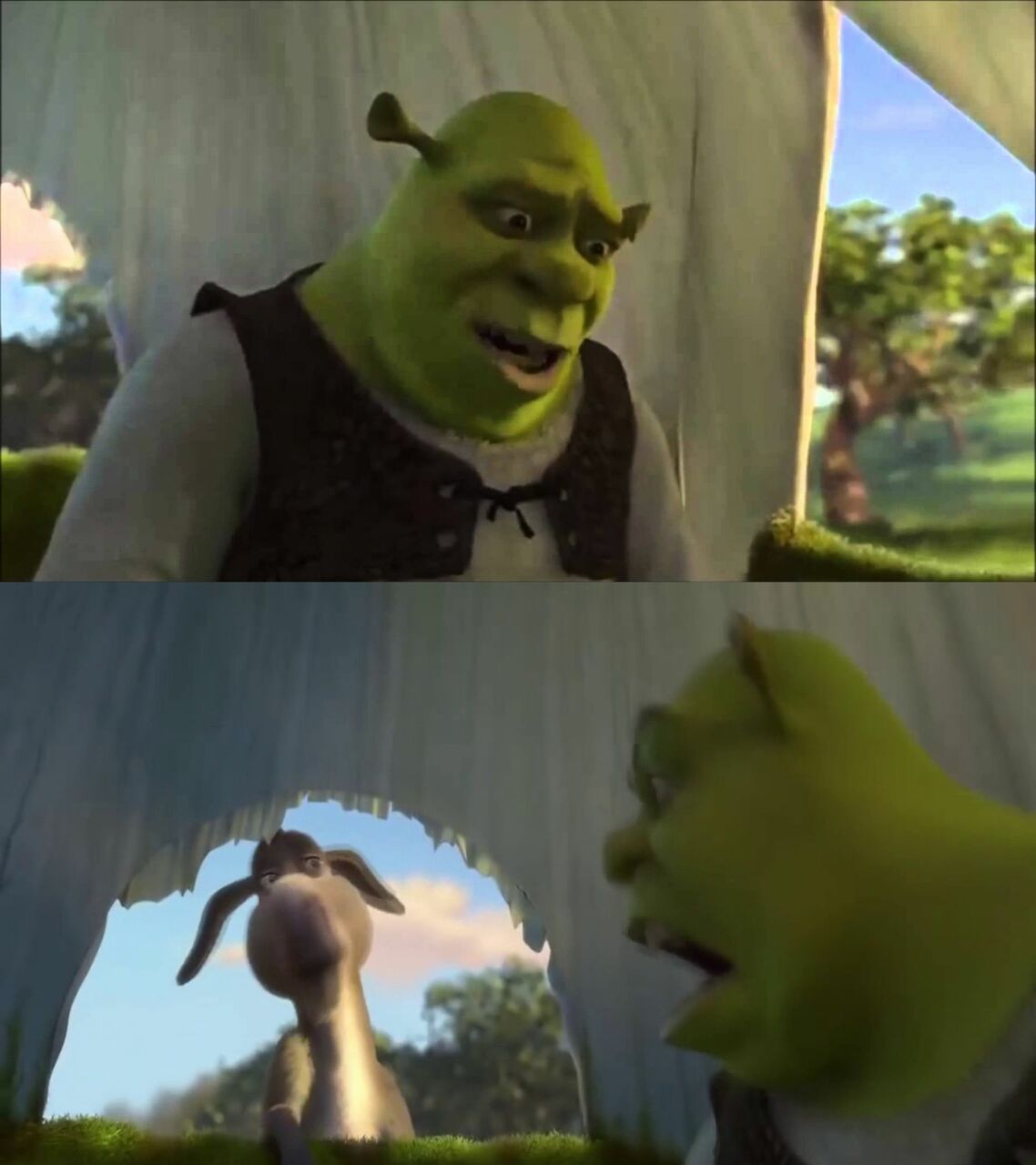 Shrek Questioning Donkey Meme Template