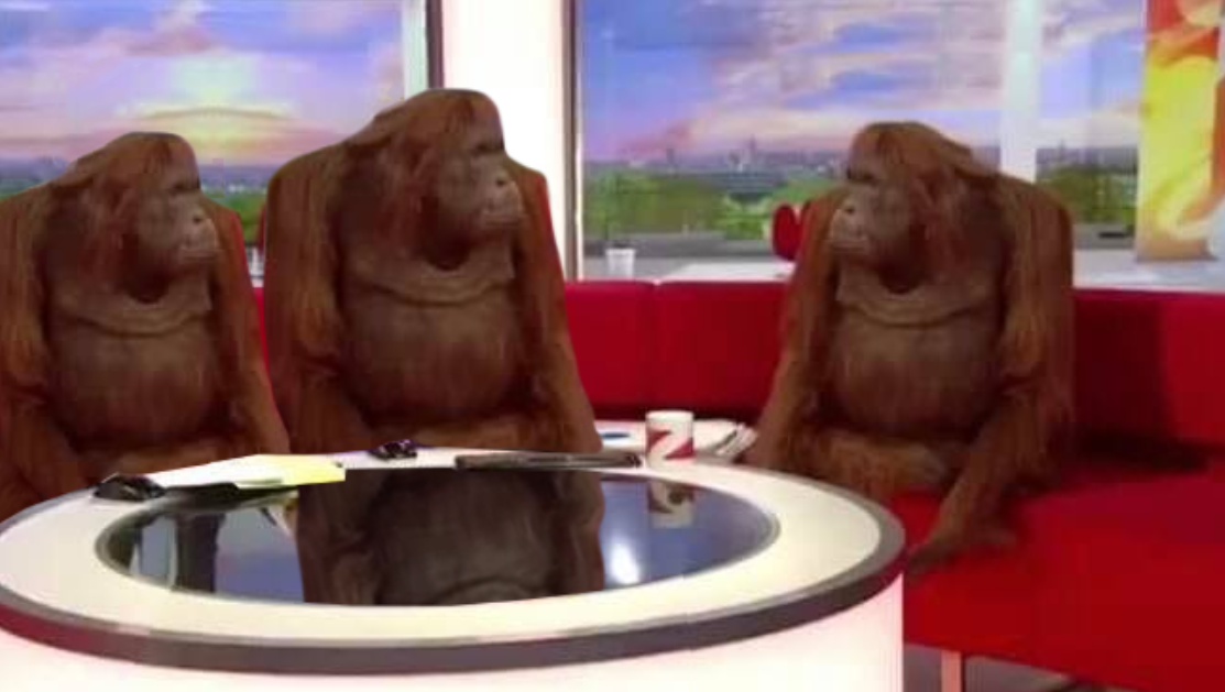 Orangutans on TV meme template image