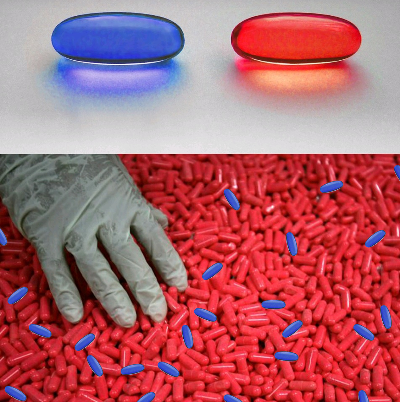 Red Pill or Blue Pill Meme Template