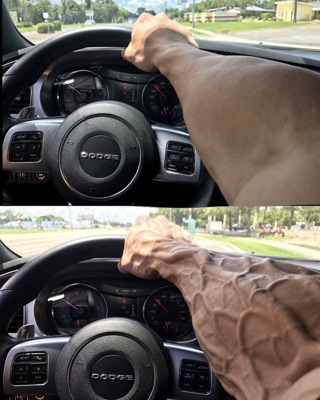 Heated Steering Wheel Meme Meme Template