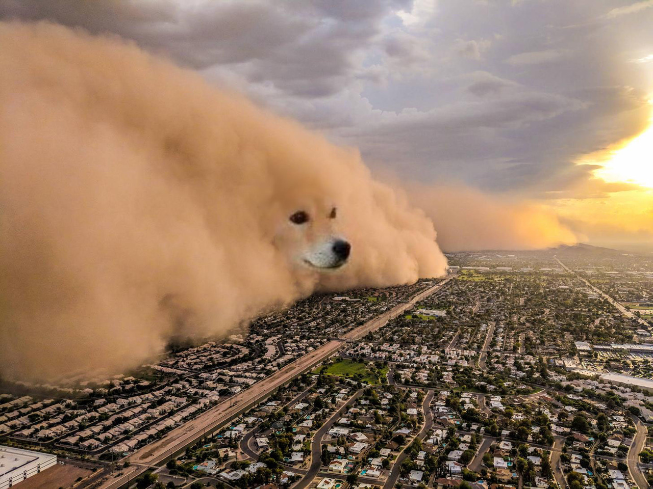 Doge Sandstorm meme template image