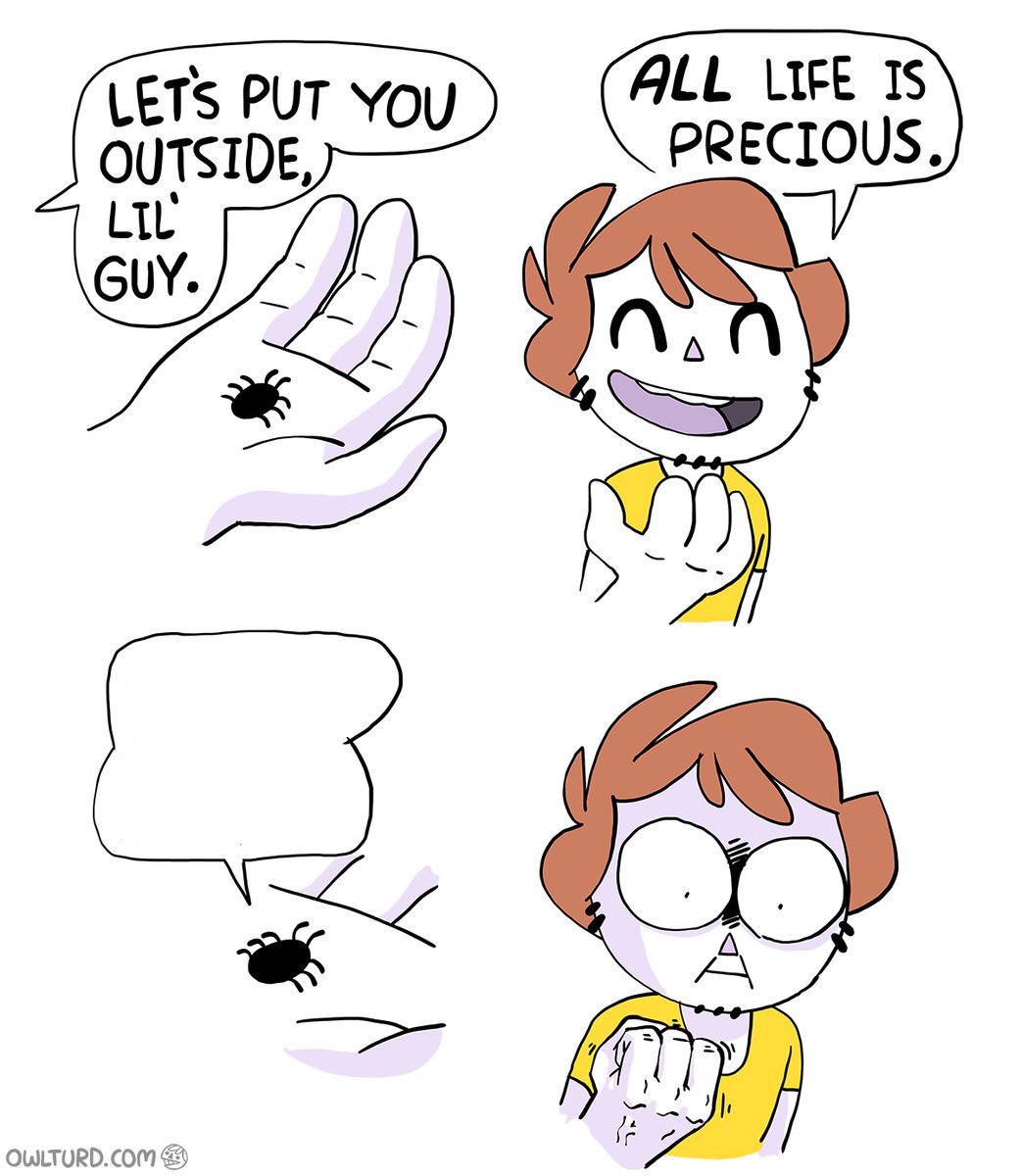 All Life Is Precious Then I See A Spider meme template image