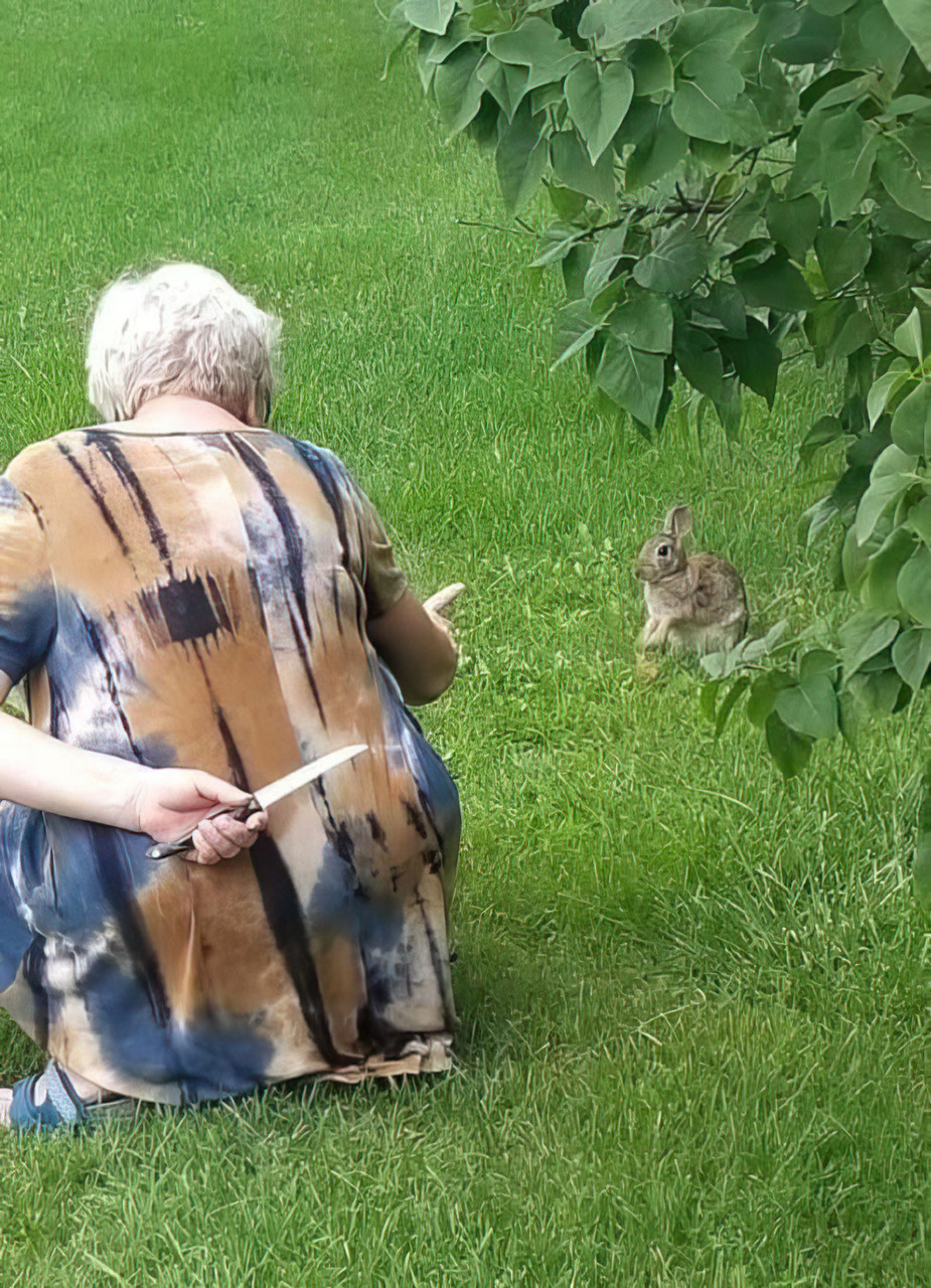 Woman Pointing At Rabbit With Knife Behind Back meme template image